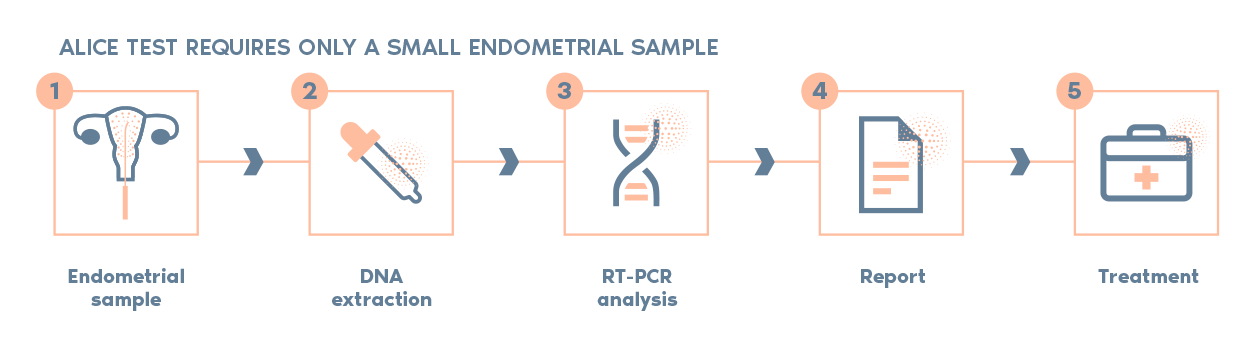 ALICE: Analysis of Infectious Chronic Endometritis | Igenomix India